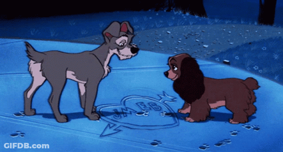 Lady And The Tramp Sweet Dog GIF