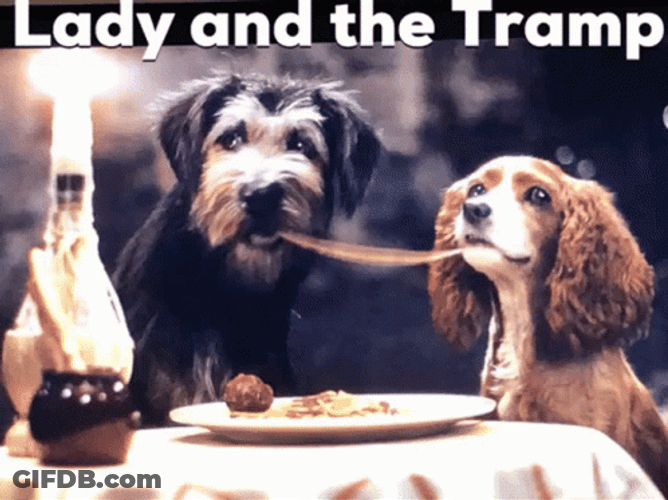 Lady And The Tramp GIF