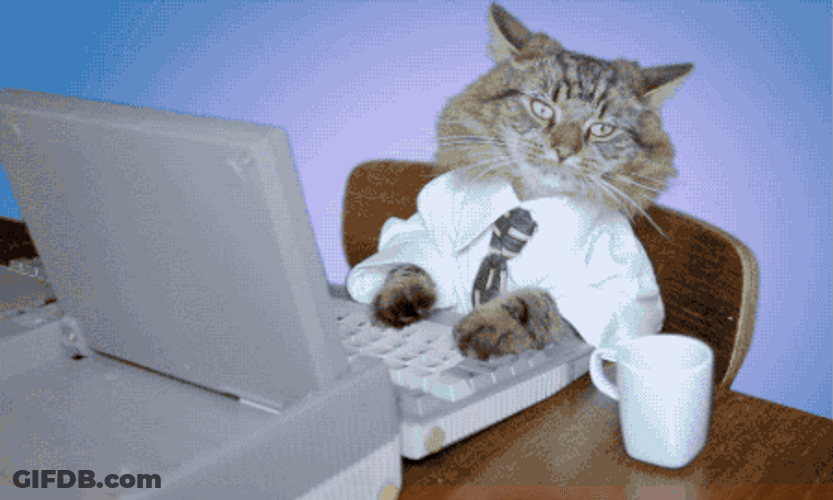 Lady Boss Typing Cat GIF