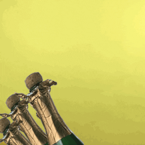 Lady Celebrating With Champagne GIF