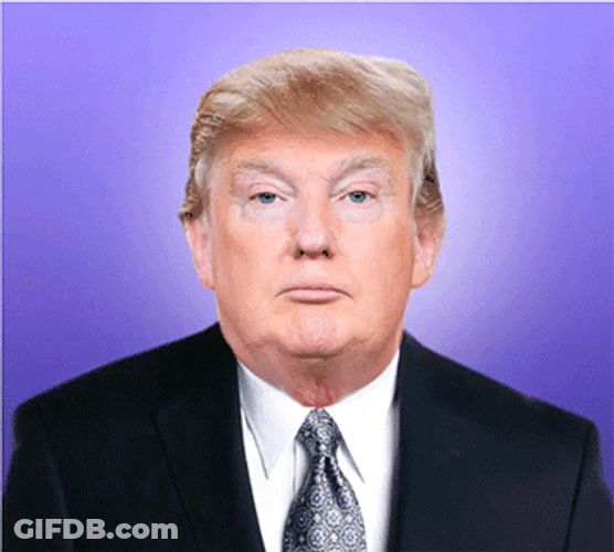 Lady Donald Trump Face Meme GIF