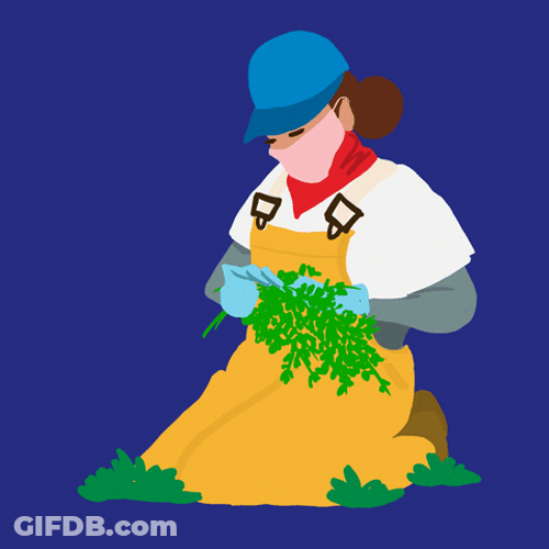 Lady Farming Animation GIF