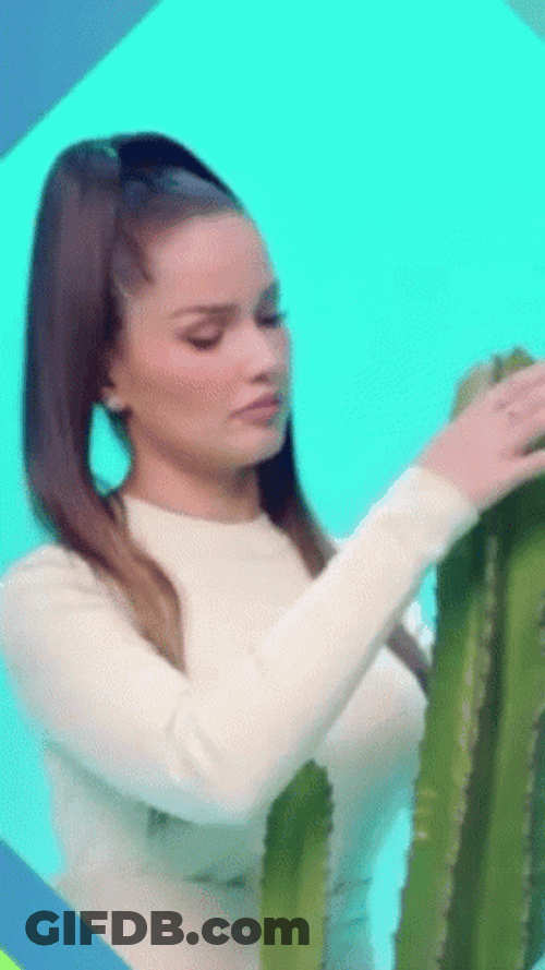 Lady Gently Petting Cactus GIF