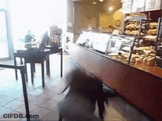 Lady Going Wild In Coffee Shop GIF