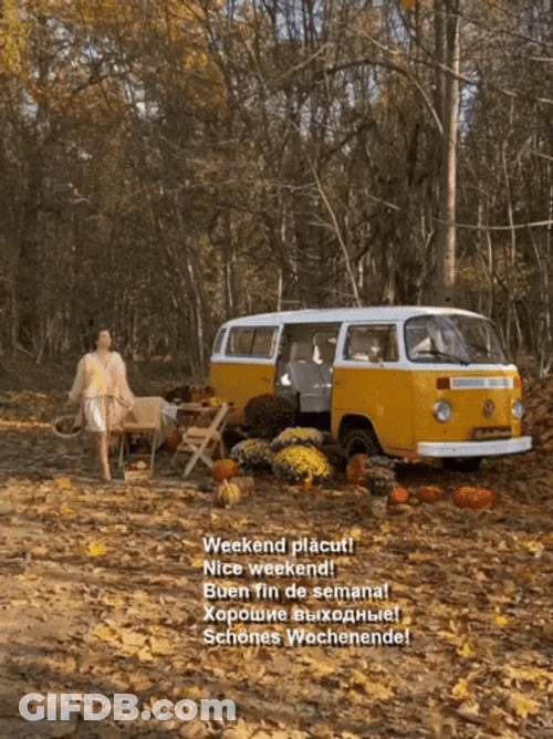 Lady In The Woods With Her Van GIF