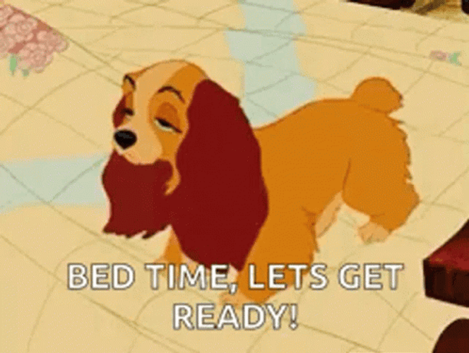Lady Let Get Ready For Bedtime GIF