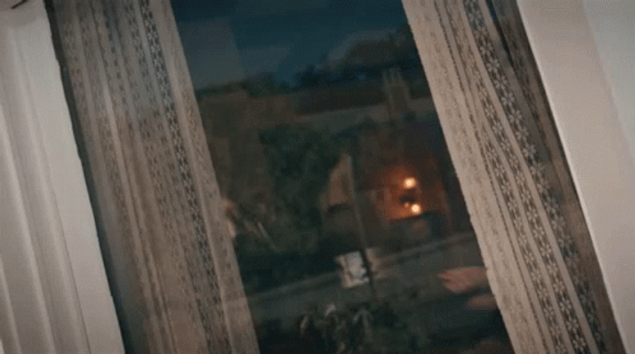 Lady Looking Out The Window GIF