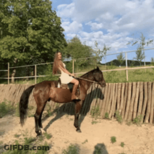 Lady Made Horse Neigh GIF