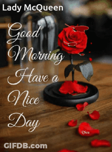 Lady McQueen Saying Good Morning GIF