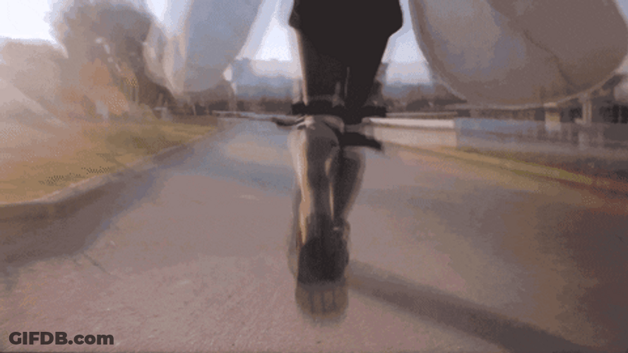 Lady Moth Flying Around GIF