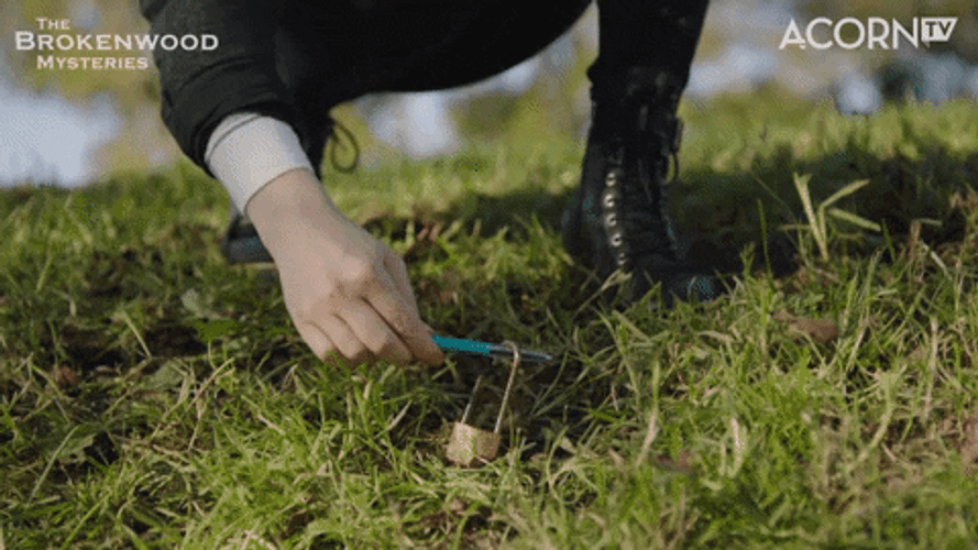 Lady Police Investigates The Brokenwood GIF