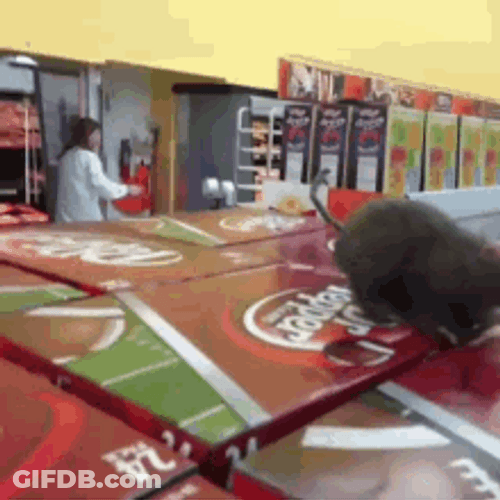 Lady Saw Rat Run Scared GIF