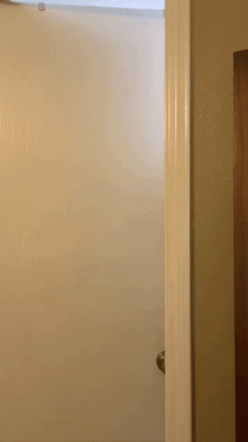 Lady Slowly Sneaking Behind Door GIF