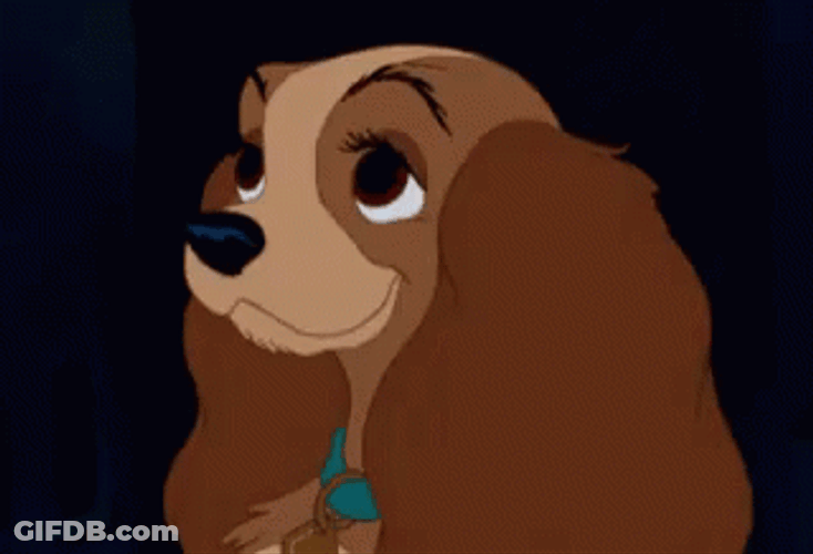 Lady Sparkling Eyes And The Tramp GIF