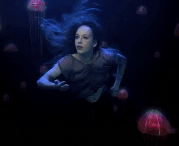 Lady Swimming With Jellyfish GIF