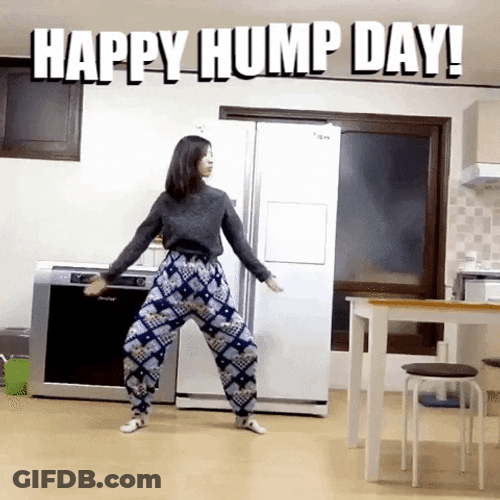 Lady Twerking Hump Day In Kitchen GIF