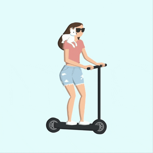 Lady With Dog Strolling In Scooter GIF