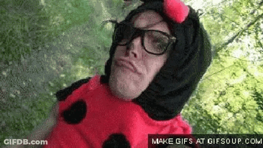 Ladybug GIF