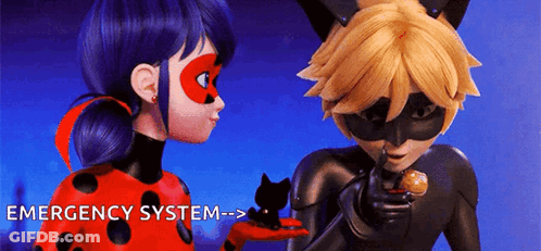 Ladybug And Chat Noir From Miraculous Ladybug Are Standing Next To Each Other And Looking At Each Other . GIF