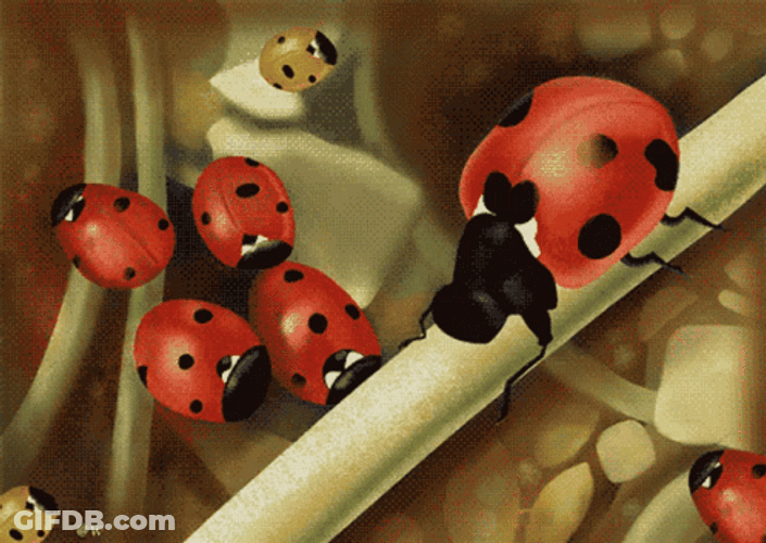 Ladybug Cartoons Chomping On Stalk GIF