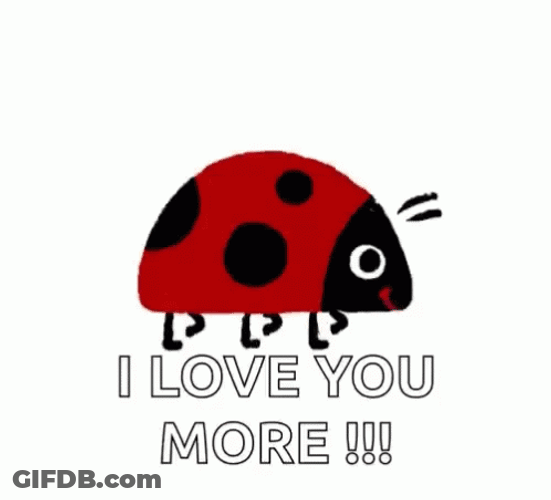 Ladybug Crawling Love You More Moving Graphics GIF