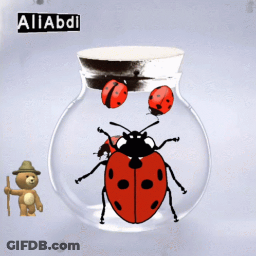 Ladybug In Glass Jar With Aliabdi GIF