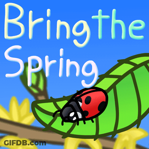 Ladybug On Green Leaf Bring The Spring GIF