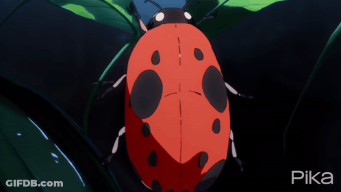 Ladybug On Green Leaf Saying Pika GIF