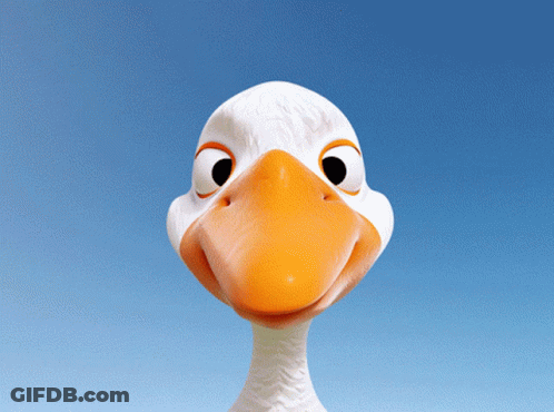Ladybug Perched On Duck's Beak GIF