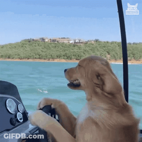 Ladybug Waving Good Luck Happy Wednesday GIF