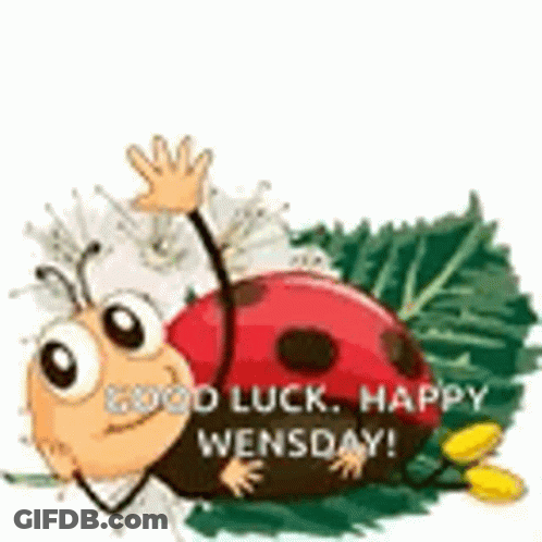 Ladybug Waving Good Luck Happy Wednesday GIF