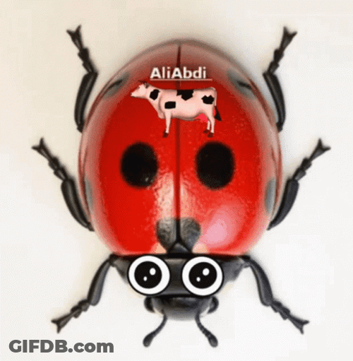 Ladybug Wobbly Eyes On Wings GIF