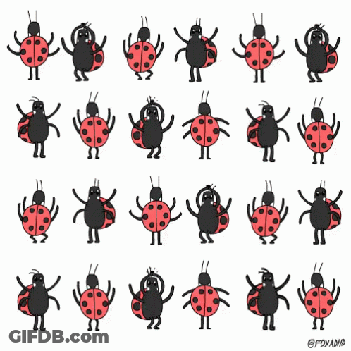 Ladybugs And Spiders Dancing GIF