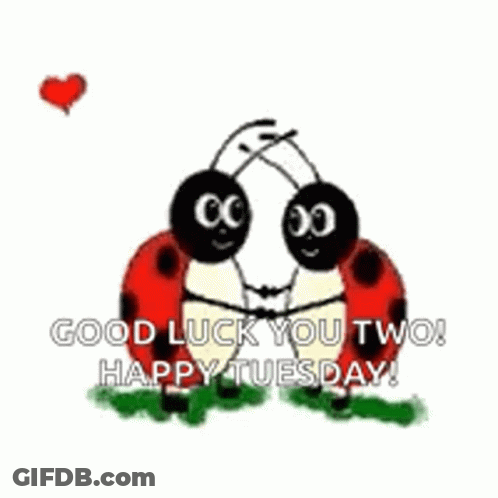 Ladybugs Hugging Hearts Good Luck You Two Happy Tuesday GIF