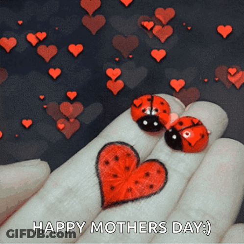 Ladybugs Hugging Hearts Good Luck You Two Tuesday GIF
