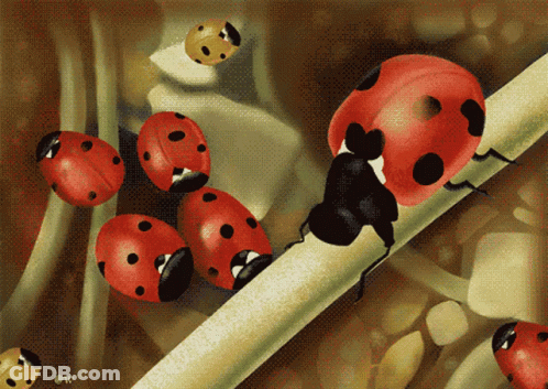 Ladybugs On A Stick GIF
