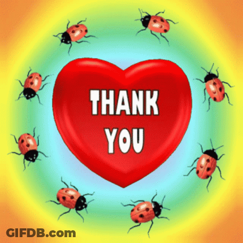 Ladybugs Surround Heart Saying Thank You GIF