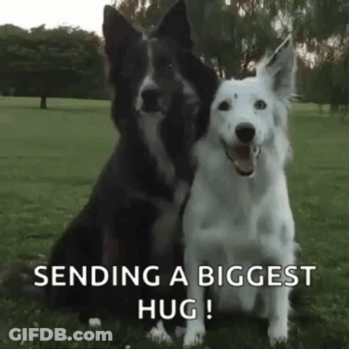 Laika Dog Sending A Biggest Hugs GIF