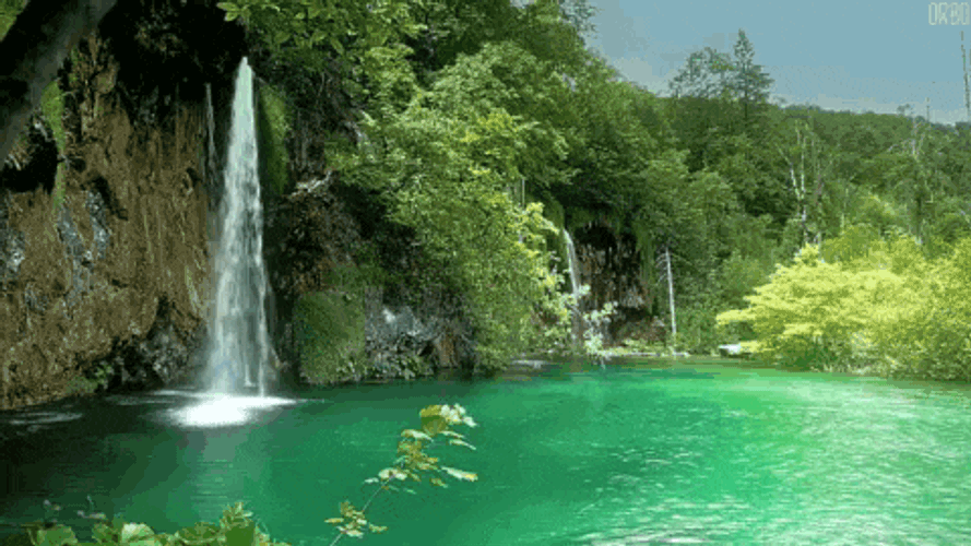 Lake Rainfall GIF
