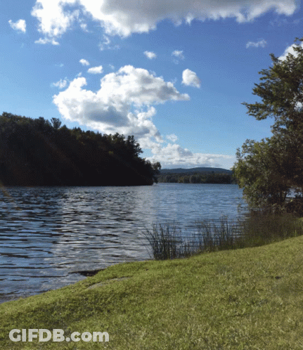 Lake Surrounded By Trees And Grass On Cloudy Day GIF