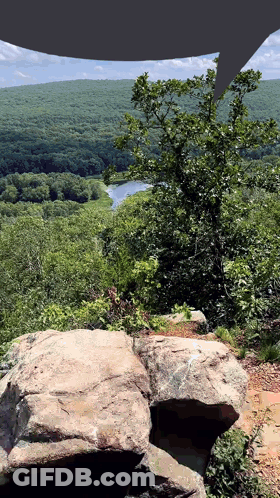 Lake Surrounded By Trees From A Rock GIF