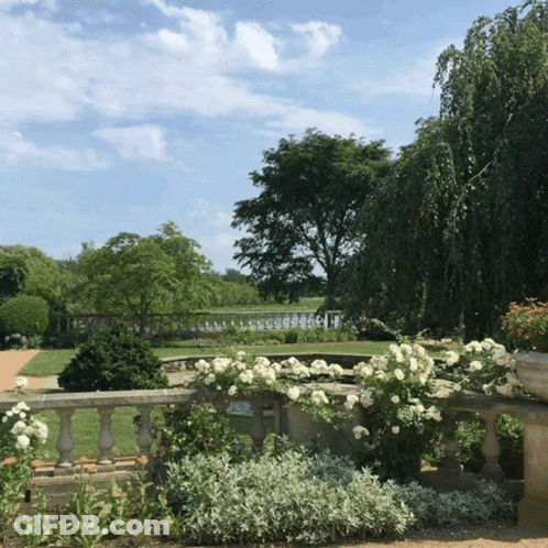 Lake View From Stone Fence GIF