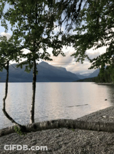 Lake With Mountains And Trees GIF