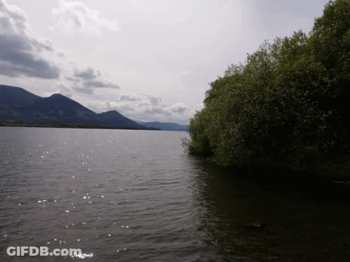 Lake With Mountains And Trees GIF