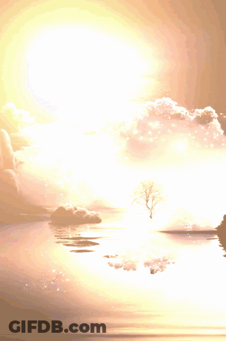 Lake With Tree In The Middle GIF