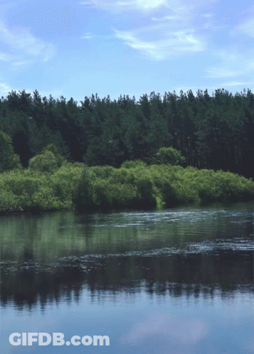 Lake With Trees And Blue Sky GIF