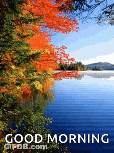 Lake With Trees Saying Good Morning GIF