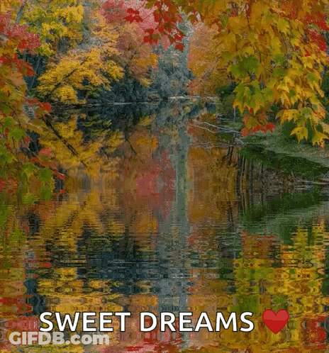 Lake With Trees Saying Sweet Dreams GIF
