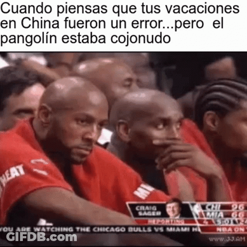Lakers Players Looking Up At Basketball Court GIF