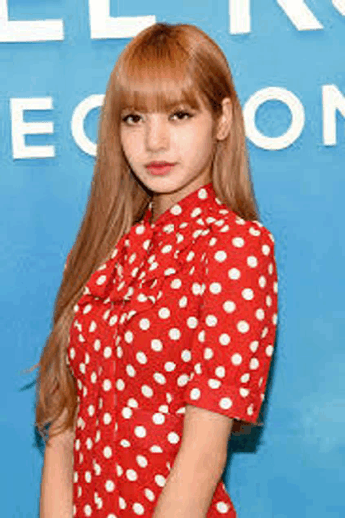 Lalisa Meme GIF